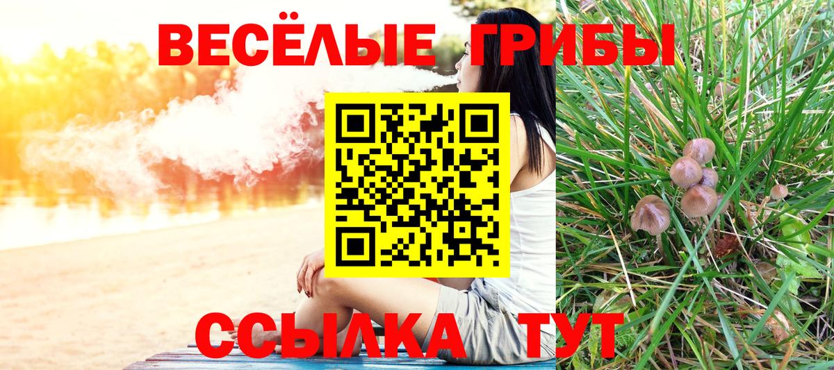 Ростов Великий  Псилоцибиновые грибы мухоморы  где купить   Вход с VPN 