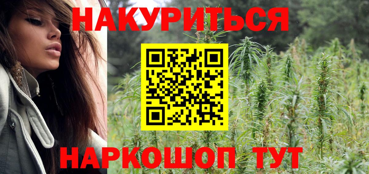 Бошки Шишки план Ростов Великий